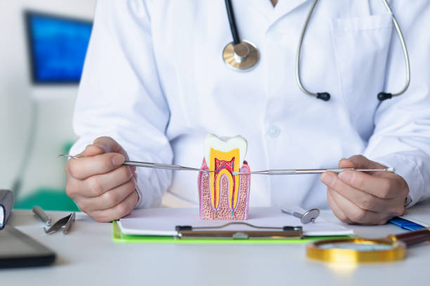 Best Emergency Dental Care for Broken or Chipped Teeth in Valley Stream, NY
